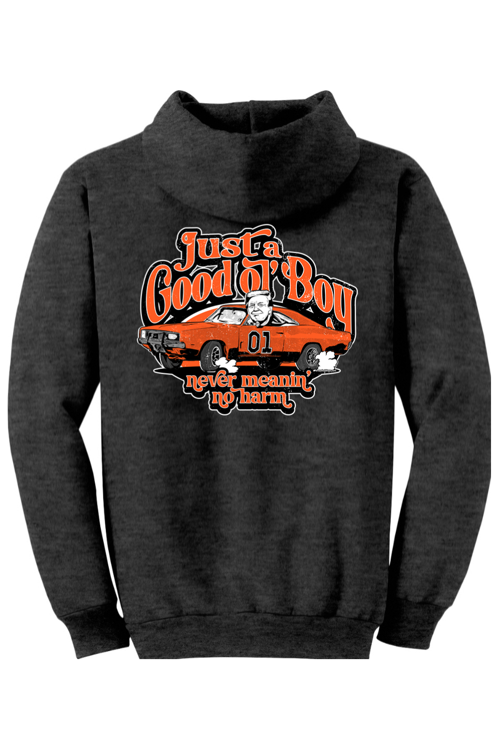 Just a Good Ol' Boy Trump Hoodie