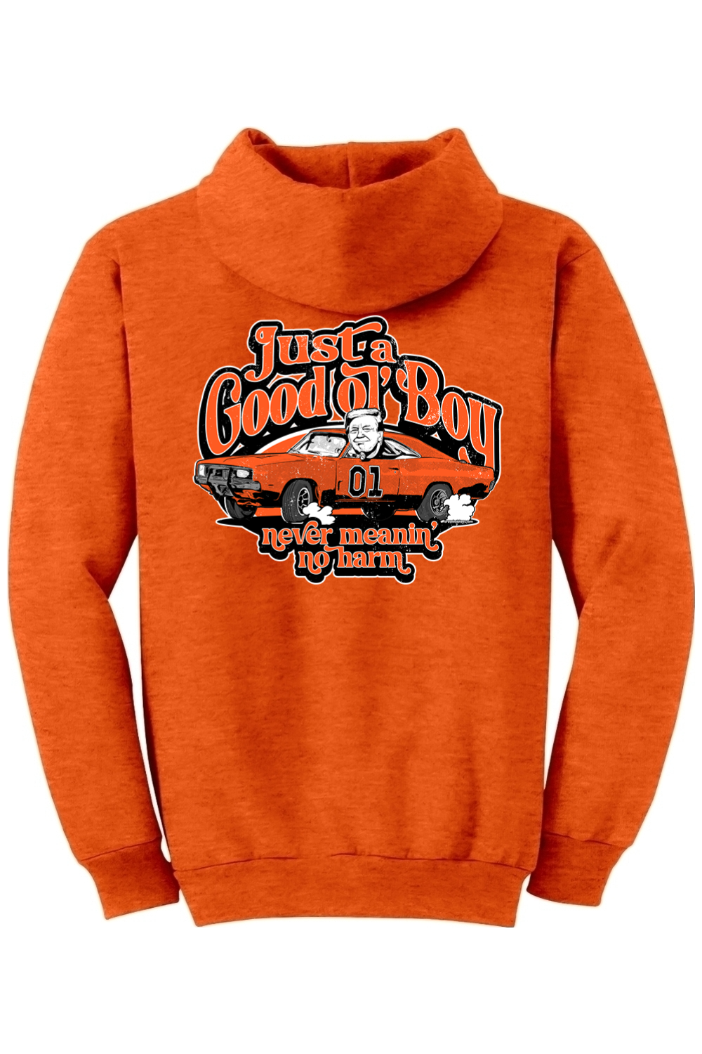 Just a Good Ol' Boy Trump Hoodie